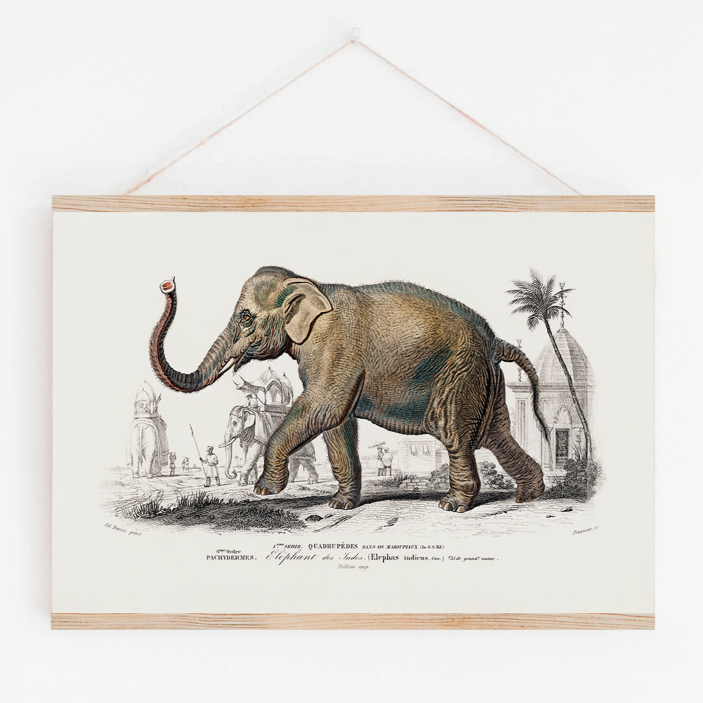 Plakatlist m/magneter ∙ 43 cm