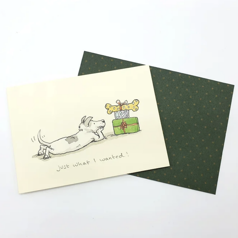 
                      
                        Julekort ∙ Just what I wanted
                      
                    