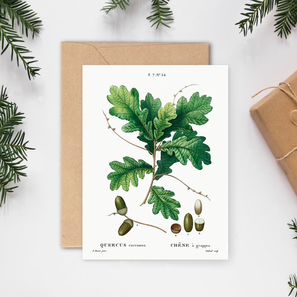 Julekort ∙ EIKENØTTER