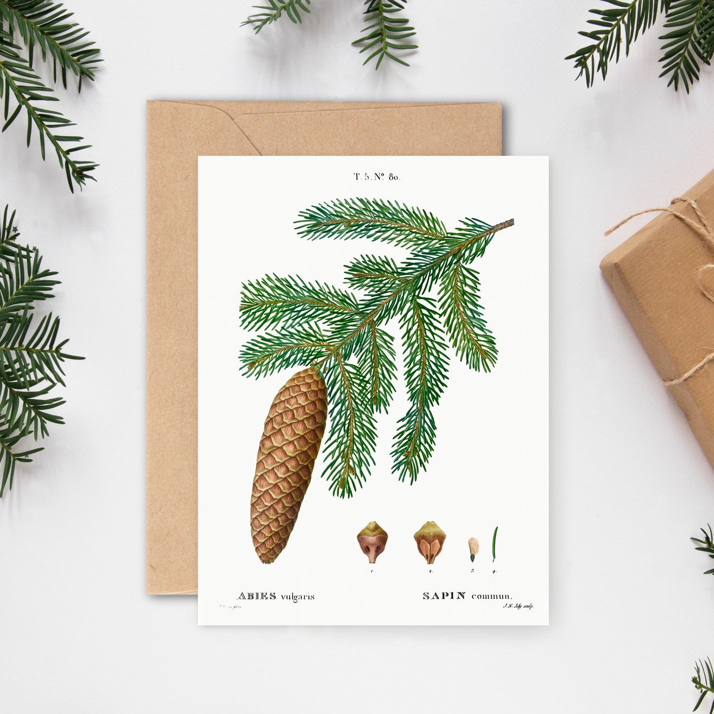 Julekort ∙ NORSK GRAN